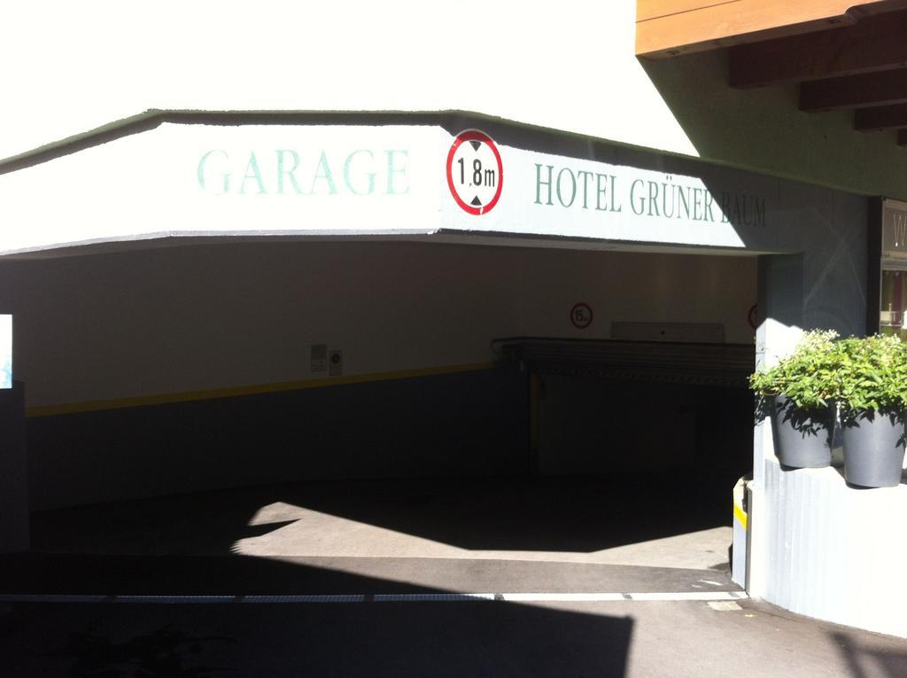 Hotel Gruener Baum Zell am See Exterior foto