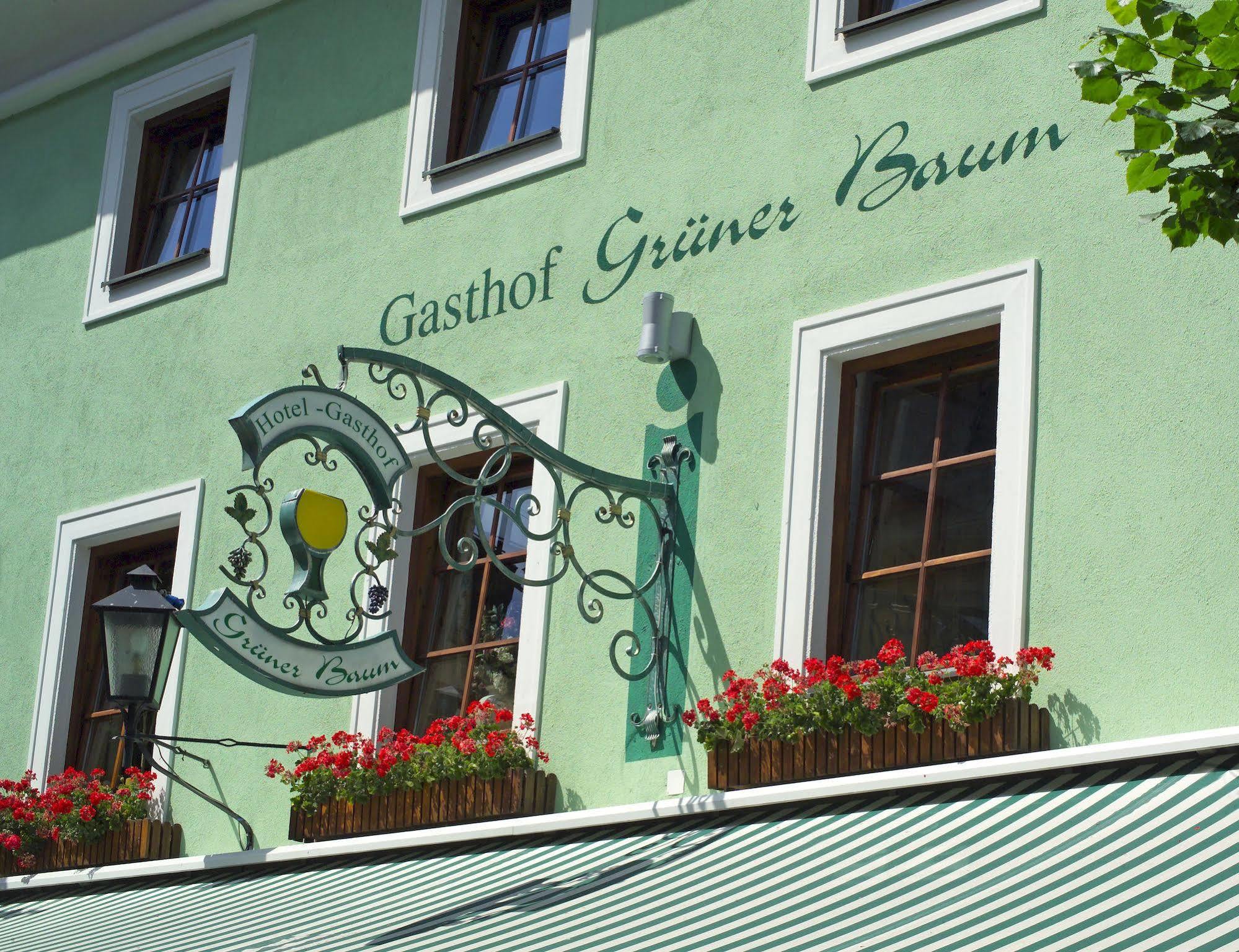 Hotel Gruener Baum Zell am See Exterior foto
